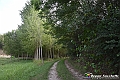VBS_5459 - C'è un mare di velluto verde! E tu che sognavi di andare lontano... Quanta meraviglia, quì!